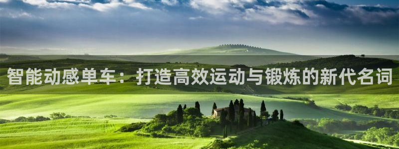 BWIN体育官网下载软件:智能动感单车:打造高效运动与锻炼的